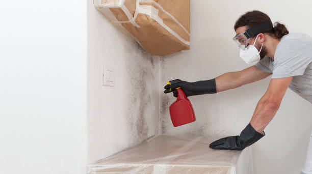 Professional Crawl Space Mold Remediation technician working in Belmar, NJ