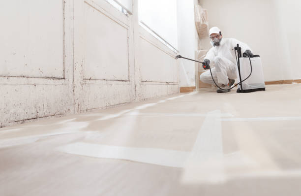 24/7 Emergency Crawl Space Mold Remediation experts in Belmar, NJ